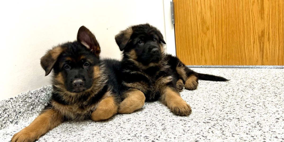 German Shepherd Puppies For Sale Austria Explained In Fewer Than 140 Characters